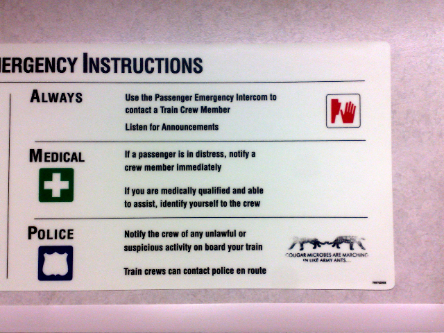 Cougar Emergency