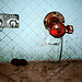 Photo: Abandoned Shoe and Hydrant