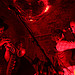 Edward Sharpe & The Magnetic Zeros live @ The Old Vic Tunnels
