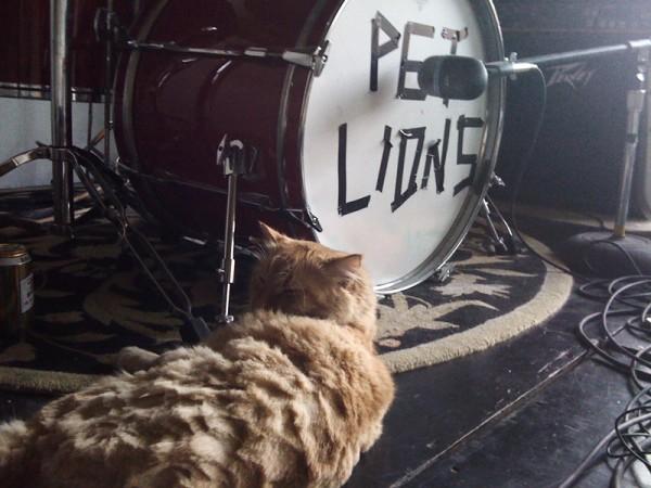 petlions