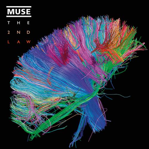 muse2ndlaw