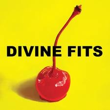 Cougar Microbes Writer Picks 2012: Nicole 2 Divine Fits - A Thing Called Divine Fits