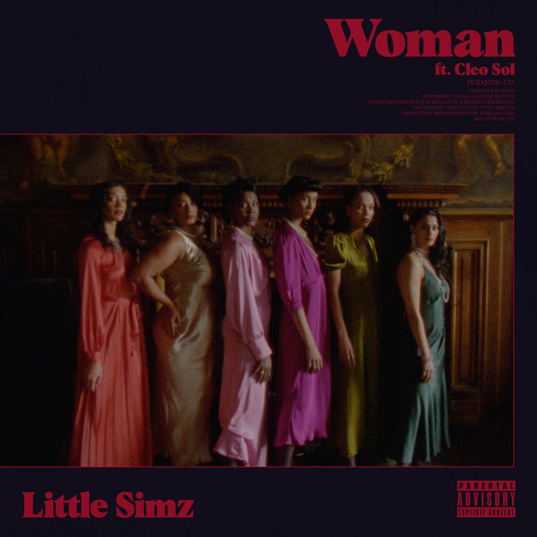 little simz woman Cover Art