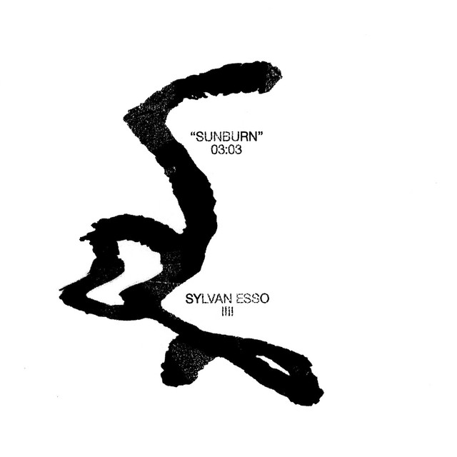 Sylvan Esso Sunburn