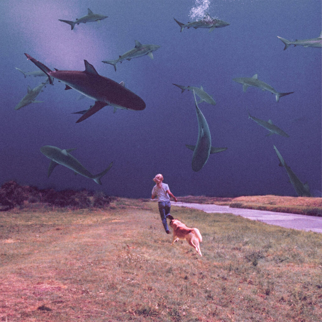 Bully and Soccer Mommy collaborate on dreamy'Lose You" 2 bully lose you