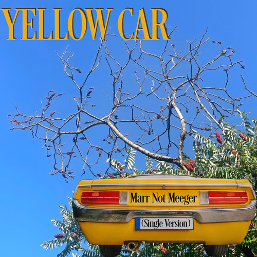 Cougar Microbes Selects: Indie/Rock February 2024 3 Marr Not Meeger Yellow Car