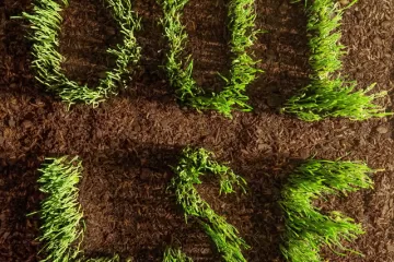 OUI LSF album cover, grass letters growing in the dirt