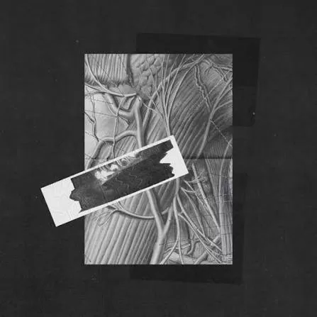 Track Spotlight: Mount Palomar - L'Aliment 1 Mount Palomar L'aliment